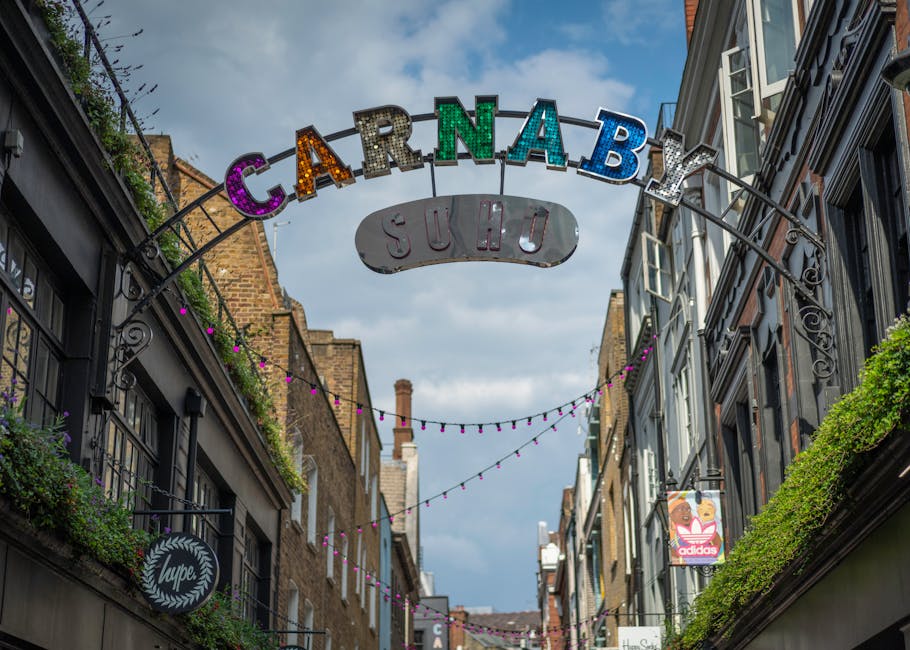 A photograph of a narrow street in Soho, London, showing a decorative, illuminated sign hanging overhead that reads 'CARNABY' with each letter in bright, multicolored lights, and an additional smaller sign beneath displaying 'SUHO' in a metallic, oval shape. The street is lined with multi-story buildings featuring traditional brick facades and large windows, some with black wrought-iron balcony railings and greenery such as plants and flowers on balconies and window sills. Purple string lights stretch across the street, adding a festive atmosphere. The scene is captured during daytime with a partly cloudy sky, and the overall setting reflects an urban commercial area with shops, including a visible Adidas signage attached to the building on the right side, indicating retail activity. The image emphasizes the street’s vibrant character, typical of an area with independent shopping, entertainment, and vintage charm, as would be associated with private waste management and rubbish disposal needs in busy city districts like Soho.